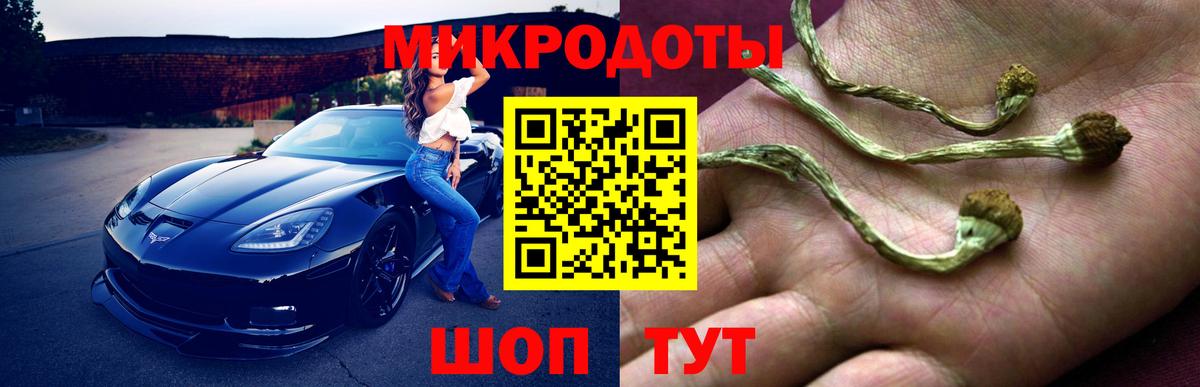Артём  Псилоцибиновые грибы Psilocybine cubensis  Вход с VPN 
